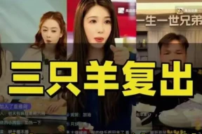 网红“七老板”录音门后首更视频！已回到安徽，仍在三只羊直播