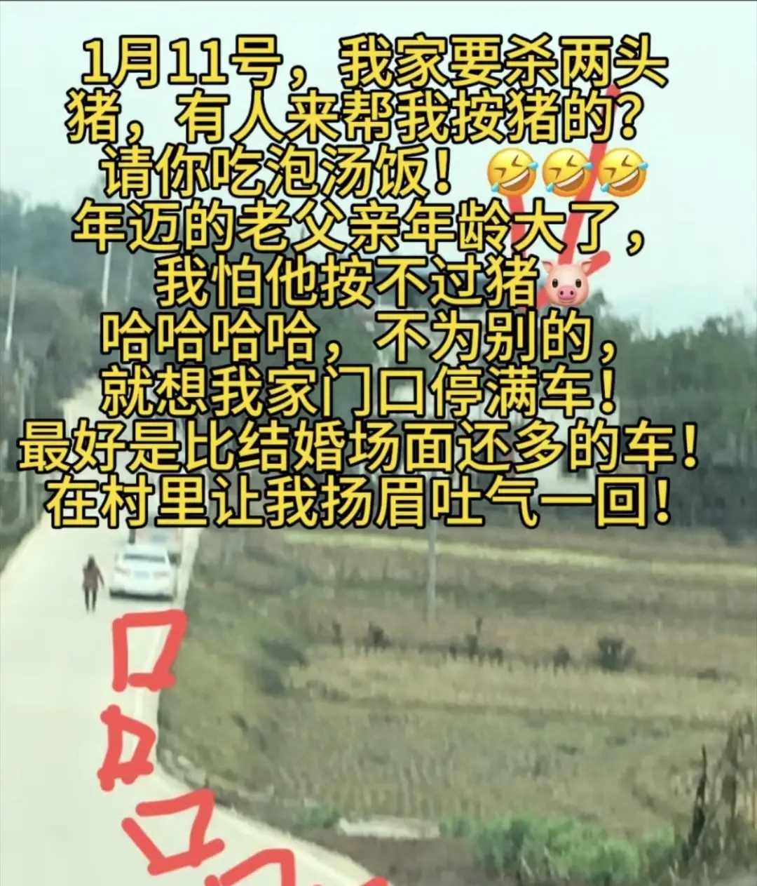 一夜涨粉近百万?千人赴宴的乡村狂欢,重庆女孩呆呆走红后的烦恼 第1张 一夜涨粉近百万?千人赴宴的乡村狂欢,重庆女孩呆呆走红后的烦恼 第1张