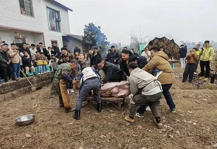 一夜涨粉近百万?千人赴宴的乡村狂欢,重庆女孩呆呆走红后的烦恼 第4张 一夜涨粉近百万?千人赴宴的乡村狂欢,重庆女孩呆呆走红后的烦恼 第4张