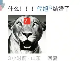 内娱第一纯爱? 第9张 内娱第一纯爱? 第9张