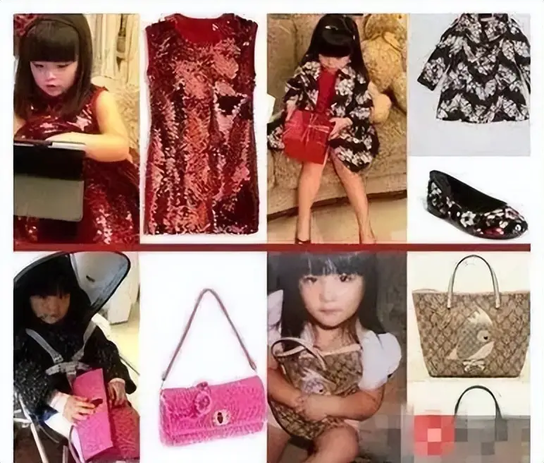 从‘炫富女王’到全网静音,李湘到底做错了啥? 第16张 从‘炫富女王’到全网静音,李湘到底做错了啥? 第16张