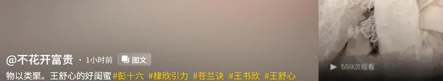 千万粉网红偷税被封且光速掉粉,网友讽物以类聚 第16张 千万粉网红偷税被封且光速掉粉,网友讽物以类聚 第16张