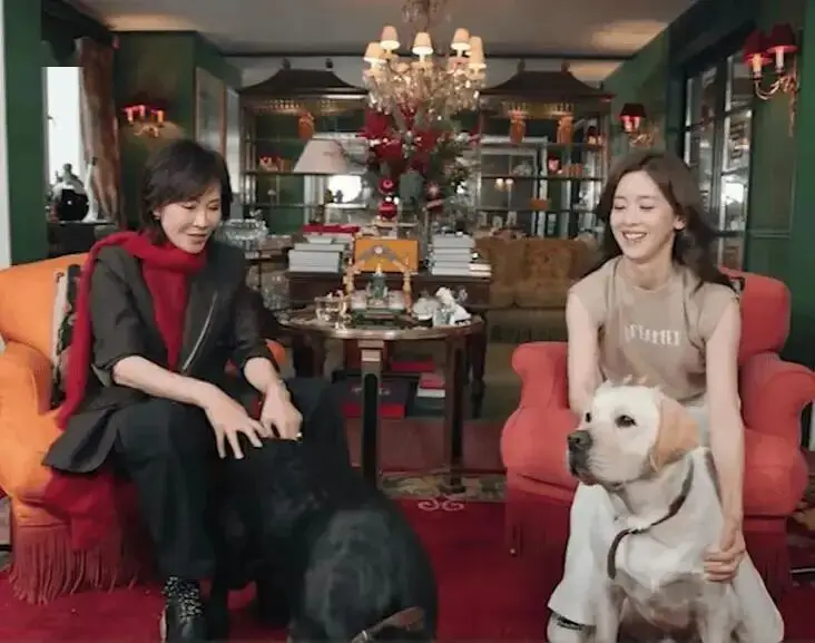 口碑崩塌?不意外啊 第4张 口碑崩塌?不意外啊 第4张