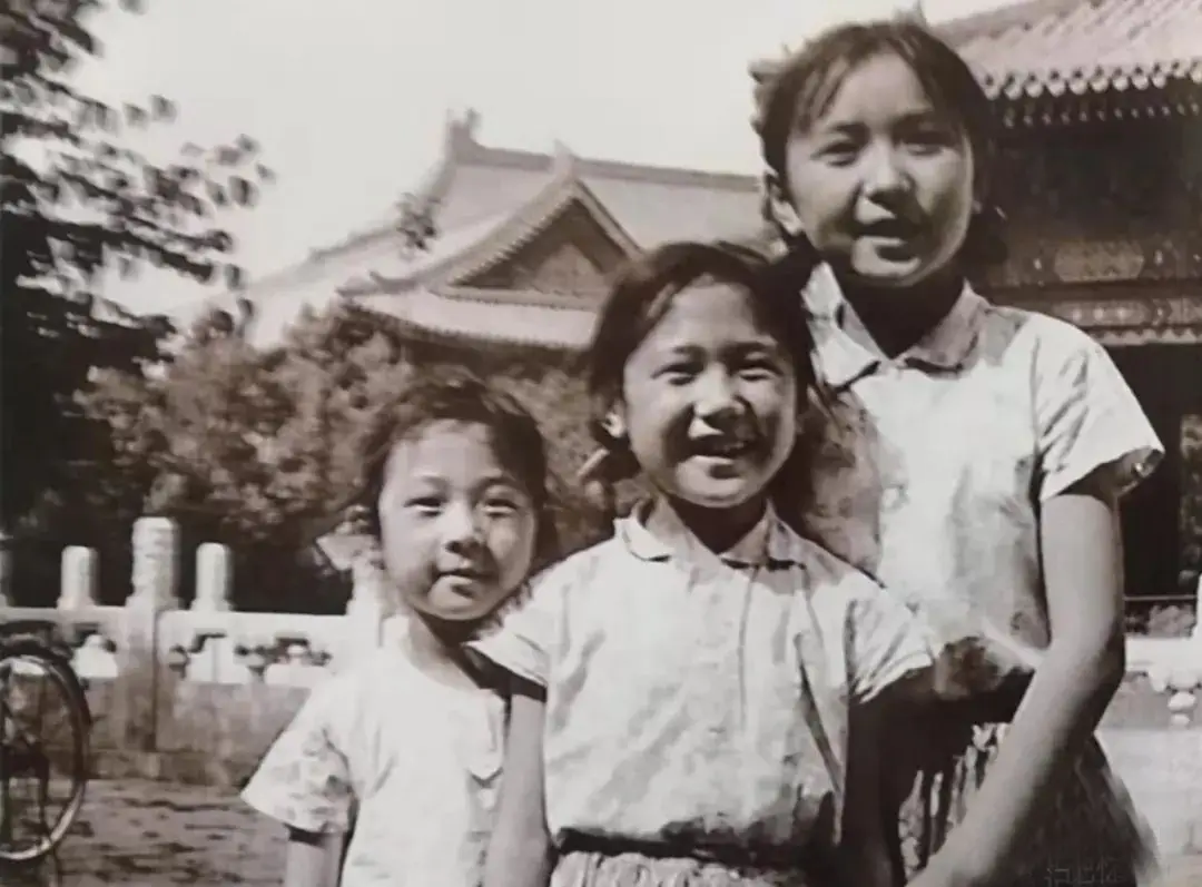 陶玉玲病逝!她有4个公公婆婆,心疼丈夫,与小姑子情同姐妹 第13张 陶玉玲病逝!她有4个公公婆婆,心疼丈夫,与小姑子情同姐妹 第13张