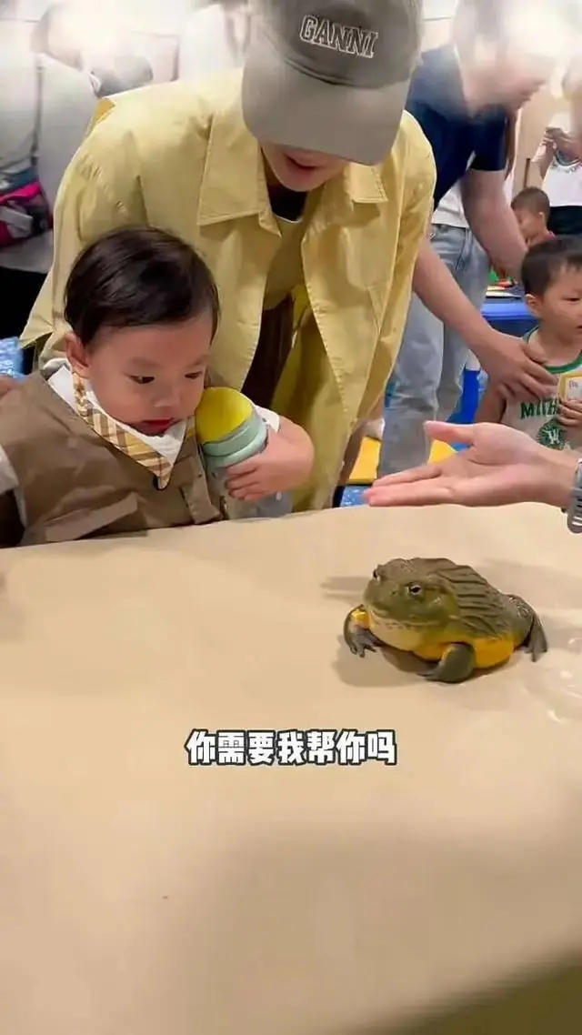 TVB女星变“虎妈”?情绪失控怒骂2岁儿子,被批是“怪兽家长” 第3张 TVB女星变“虎妈”?情绪失控怒骂2岁儿子,被批是“怪兽家长” 第3张