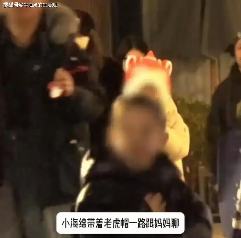 黄晓明杨颖带儿子游迪士尼,互动自然引热议,网友喊话希望他们复婚 第2张 黄晓明杨颖带儿子游迪士尼,互动自然引热议,网友喊话希望他们复婚 第2张